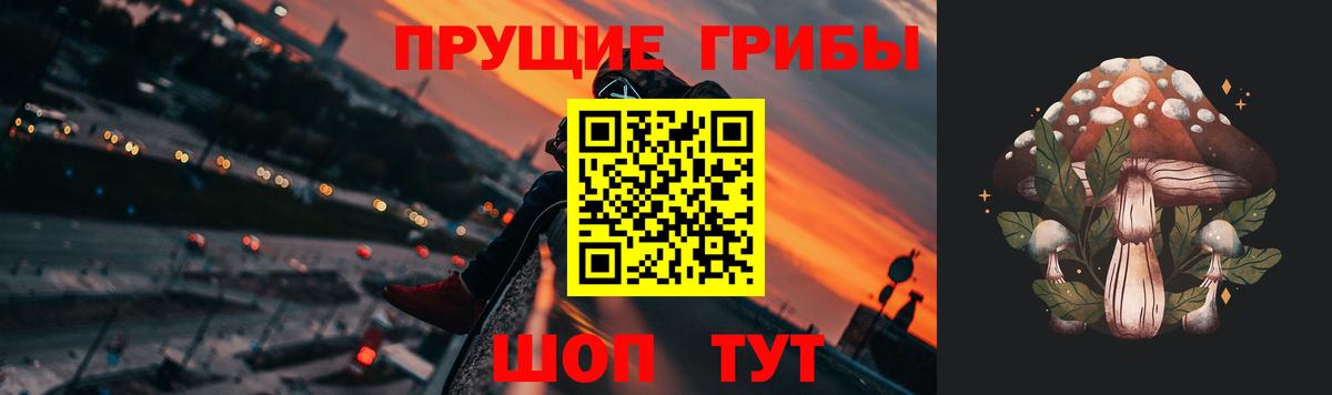 Галлюциногенные грибы прущие грибы Усть-Джегута